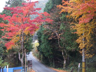 10.11-4.jpg