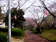 08.3-5.jpg
