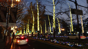 11.12-3.jpg
