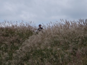 196.jpg