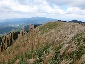 208.jpg