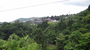 3725.jpg