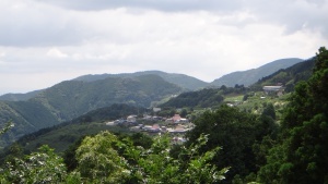 3740.jpg