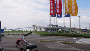 3830.jpg