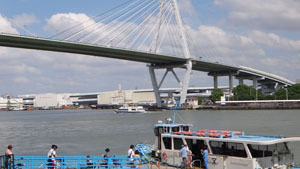 3849.jpg