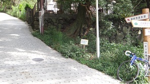 4405.jpg
