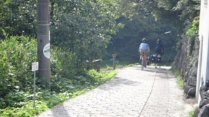 4436.jpg