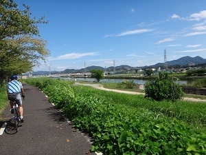 4588.jpg