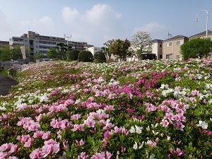 7542.jpg