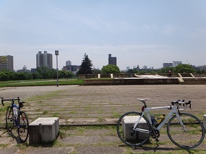 8243.jpg