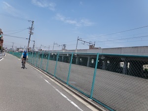 8250.jpg