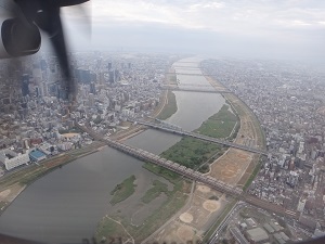 8598.jpg