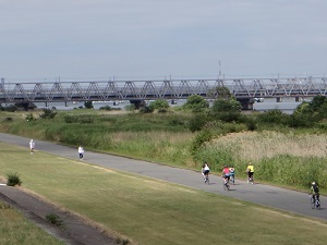 8610.jpg