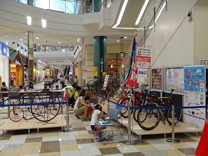 8957.jpg