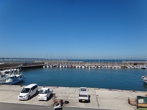 9660.jpg