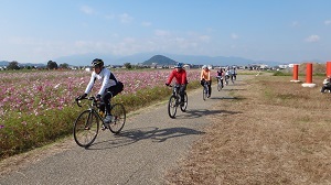 9945-A.jpg