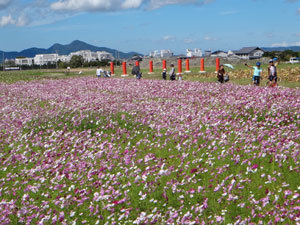 DSC00276.jpg