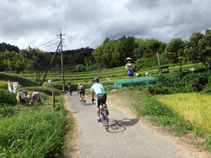 DSC00301.jpg