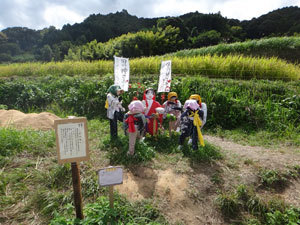 DSC00302.jpg