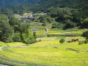DSC00314.jpg