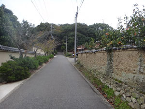 DSC00486.jpg