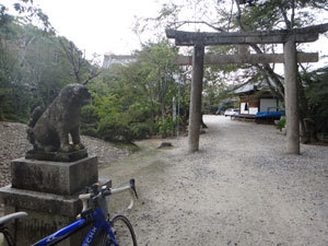 DSC00491.jpg