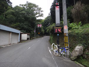 DSC00504.jpg