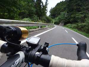 DSC00516.jpg
