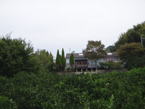 DSC00521.jpg