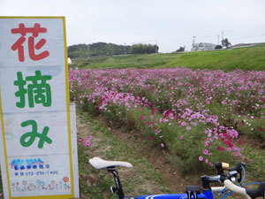 DSC00544.jpg