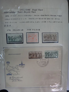 DSC00558.jpg
