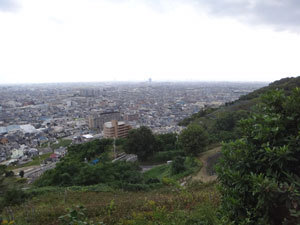 DSC00590.jpg