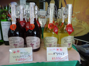DSC00598.jpg