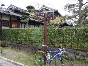 DSC00644.jpg