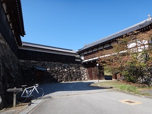 DSC00690.jpg