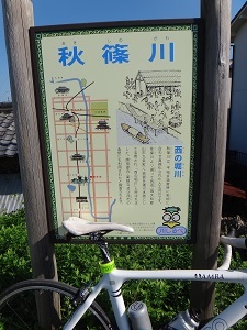 DSC00731.jpg