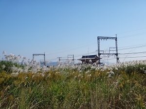DSC00744.jpg