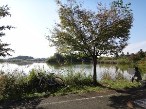 DSC00768.jpg