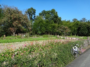 DSC00778.jpg