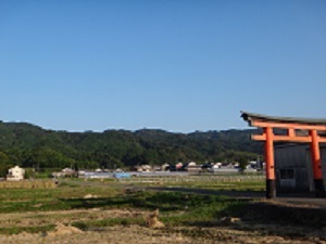 DSC00807.jpg