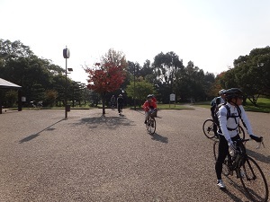 DSC01080.jpg