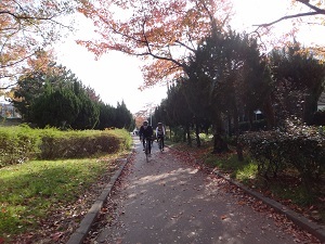 DSC01153.jpg