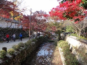 DSC01159.jpg