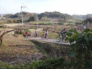 DSC01173.jpg