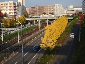 DSC01178.jpg