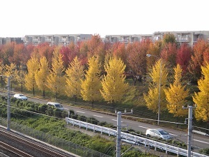 DSC01179.jpg