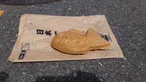 DSC02985.jpg