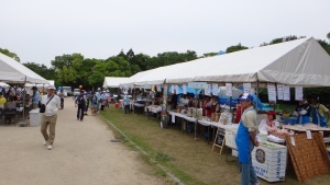 DSC03305.jpg