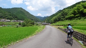 DSC03871.jpg