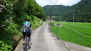 DSC03903.jpg